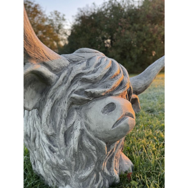 Westhighland Rind Archie